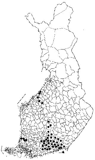 ”Syönneen hyvä, säästänneen parein”